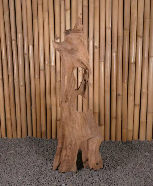 Product image 3 of the product “Root made of teak wood about 110cm height ”